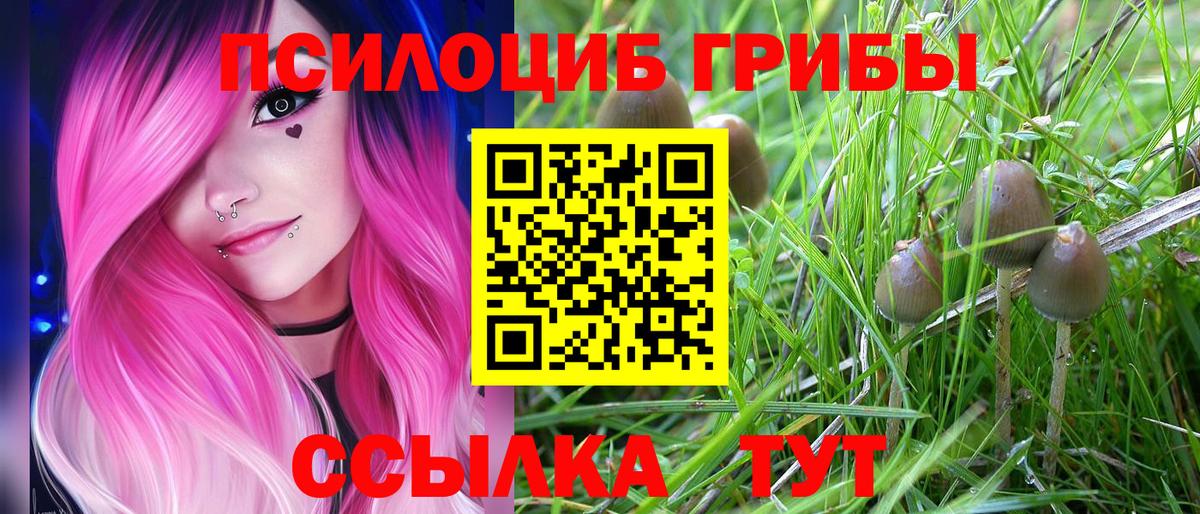 Галлюциногенные грибы GOLDEN TEACHER Богородицк