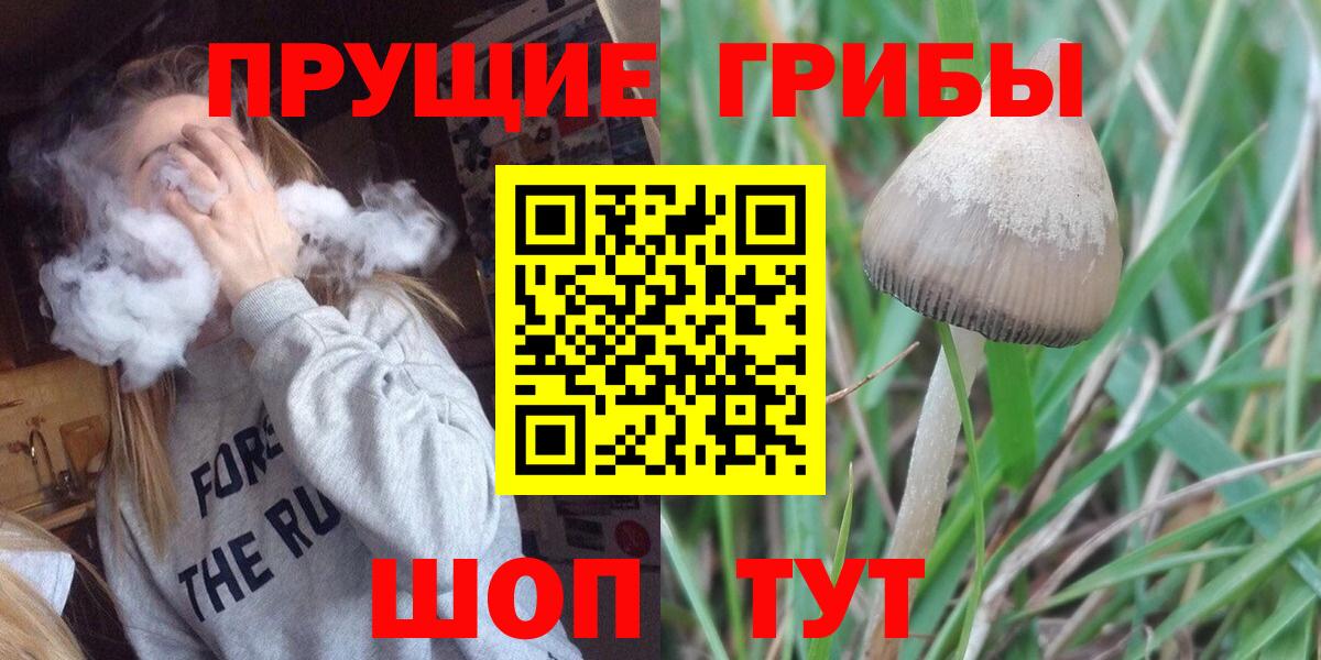 Богородицк  Галлюциногенные грибы мицелий  Вход с VPN  Псилоцибиновые грибы ЛСД 